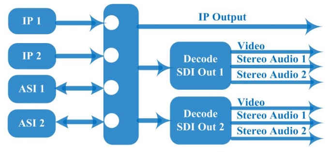 Professional Decoder.jpg