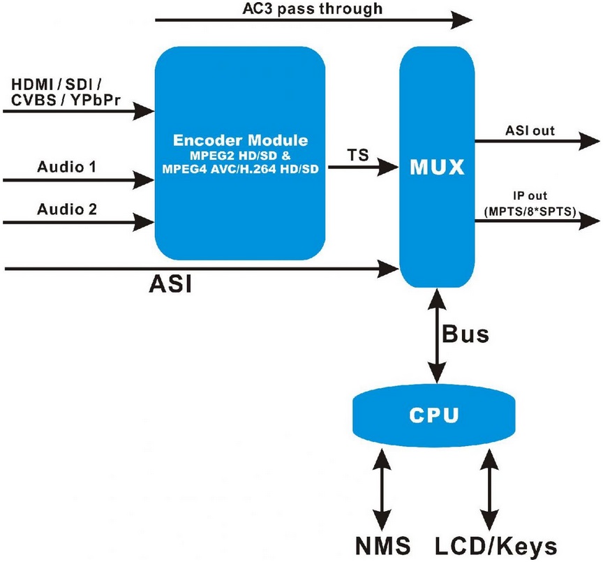 Diagram.jpg