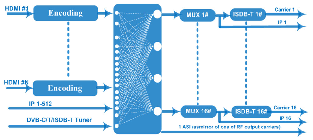 Diagram.jpg